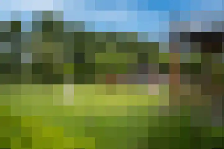 Willinkhuizersteeg 2 B Wekerom thumbnail 51