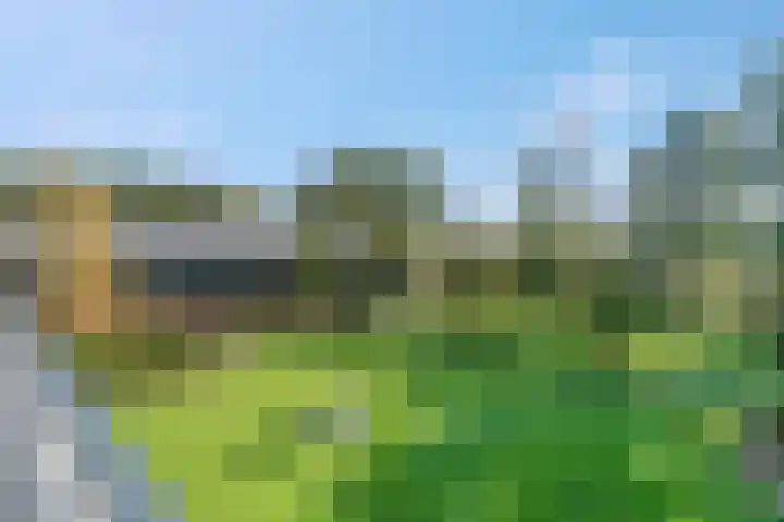 Willinkhuizersteeg 2 B Wekerom thumbnail 52