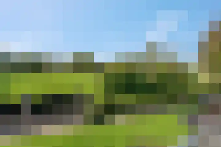 Willinkhuizersteeg 2 B Wekerom thumbnail 53