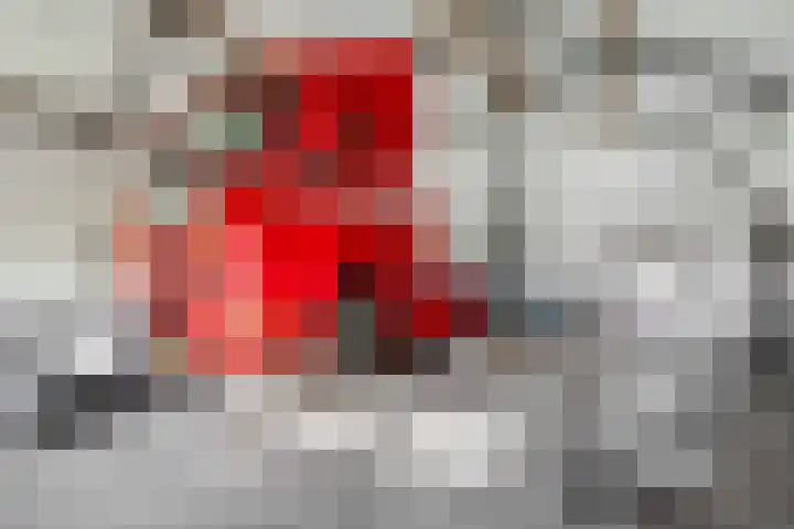 Willinkhuizersteeg 2 B Wekerom thumbnail 58