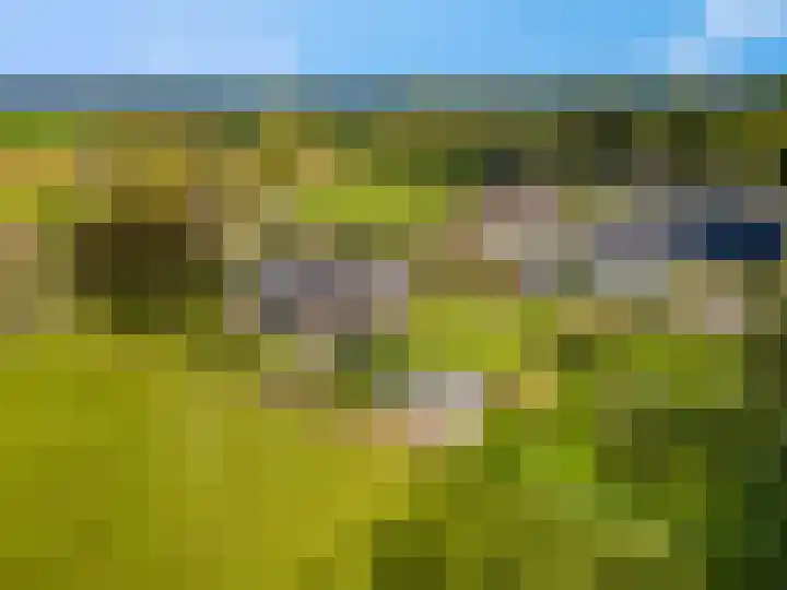 Willinkhuizersteeg 2 B Wekerom thumbnail 6