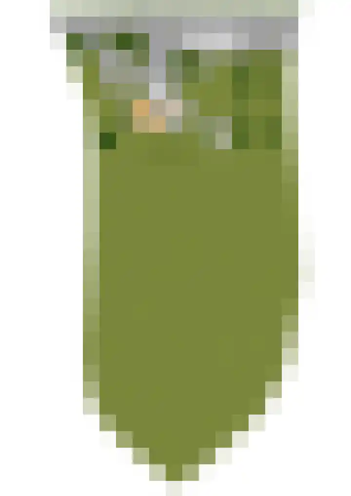 Willinkhuizersteeg 2 B Wekerom thumbnail 66