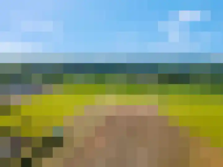 Willinkhuizersteeg 2 B Wekerom thumbnail 7