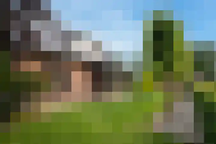 Willinkhuizersteeg 2 B Wekerom thumbnail 9