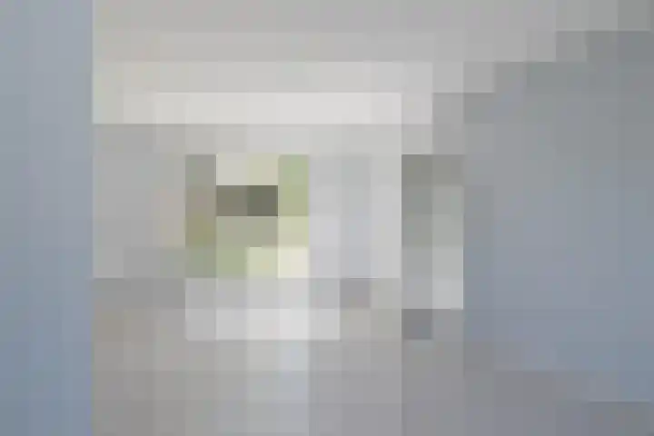 Willinklaan 12 Bennebroek thumbnail 12