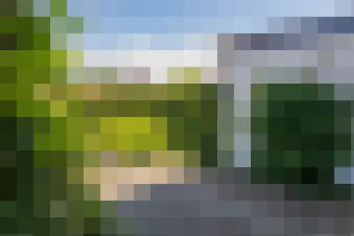 Willinklaan 12 Bennebroek thumbnail 16