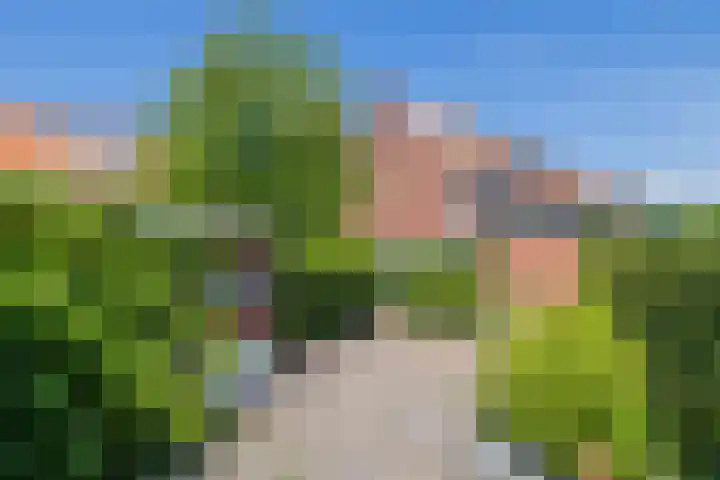 Willinklaan 12 Bennebroek thumbnail 18