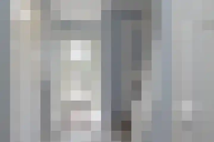 Willinklaan 12 Bennebroek thumbnail 22