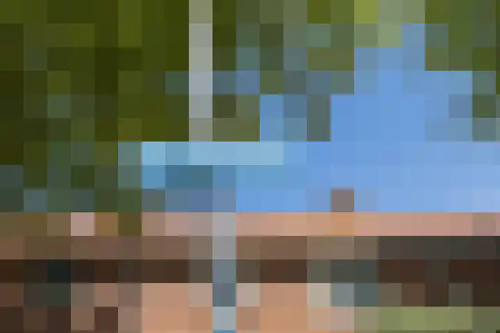 Willinklaan 12 Bennebroek thumbnail 38