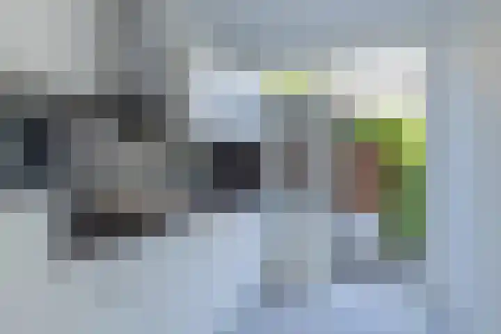 Willinklaan 12 Bennebroek thumbnail 8