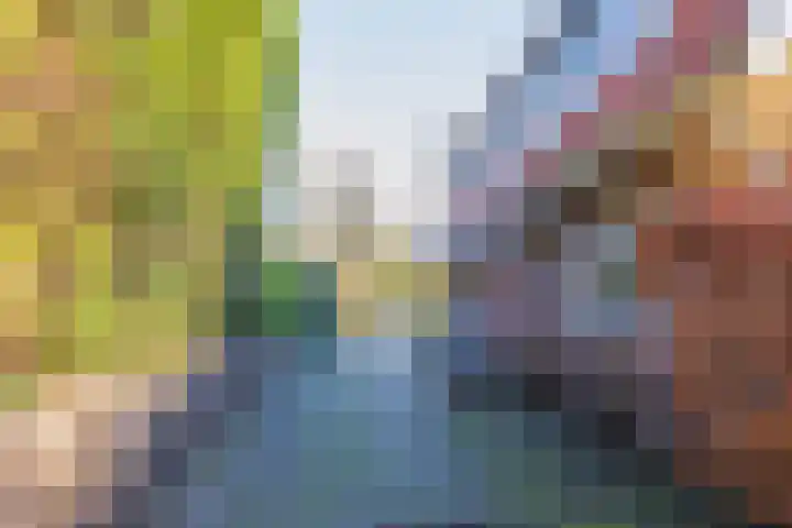 Willinklaan 5 Bennebroek thumbnail 37