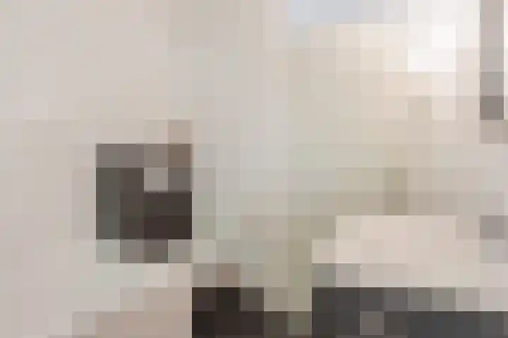 Willinklaan 5 Bennebroek thumbnail 49