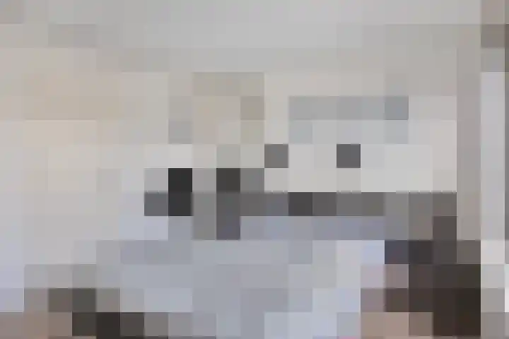 Willinklaan 5 Bennebroek thumbnail 65