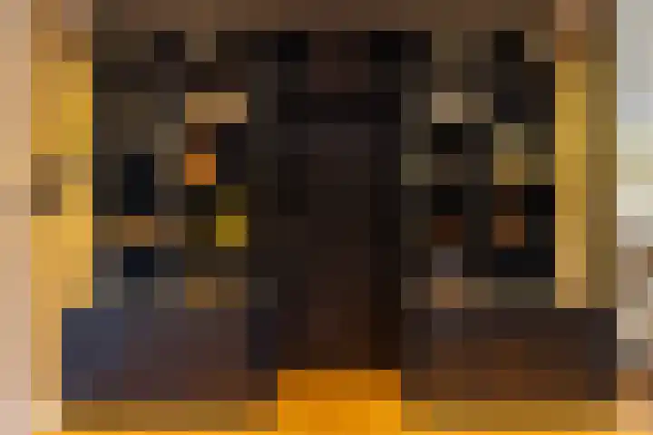 Willinklanden 10 Enschede thumbnail 11