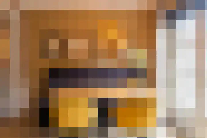Willinklanden 10 Enschede thumbnail 8