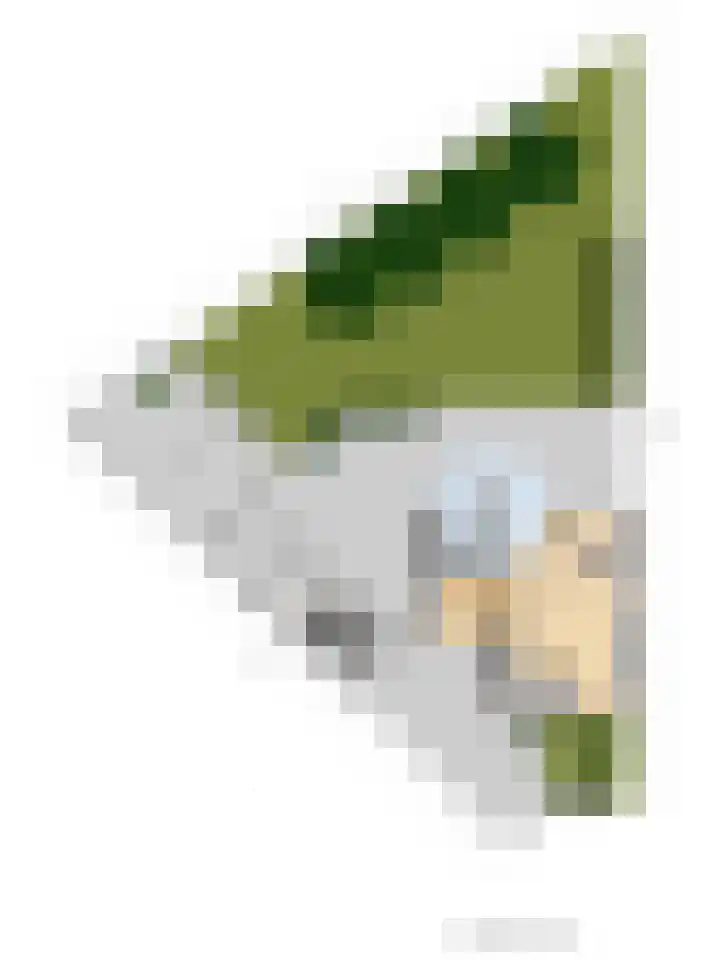 Willinklanden 33 Enschede thumbnail 36