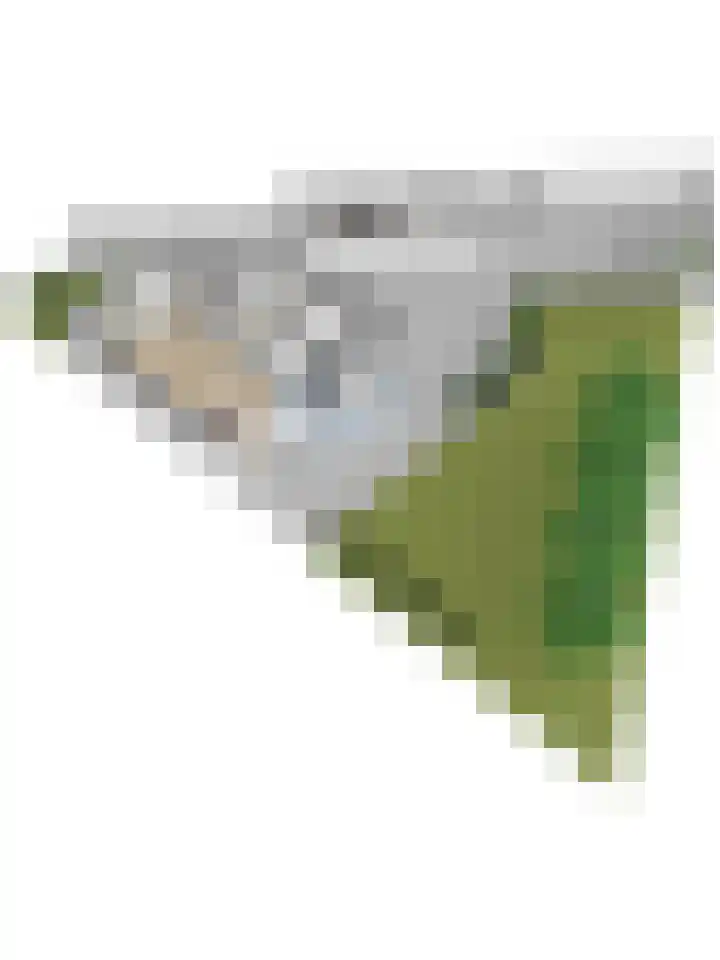 Willinklanden 33 Enschede thumbnail 41