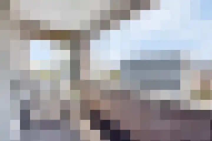 Willinkplein 113 Emmen thumbnail 21