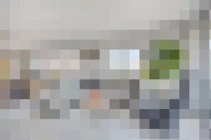 Willinkplein 113 Emmen thumbnail 6