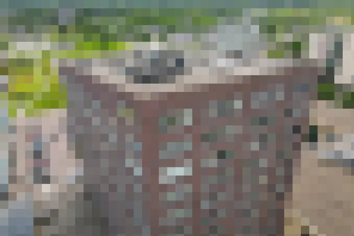 Willinkplein 165 Emmen thumbnail 4