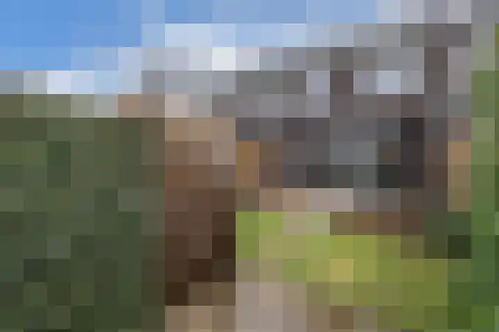 Willis Lambstraat 18 Almere thumbnail 35