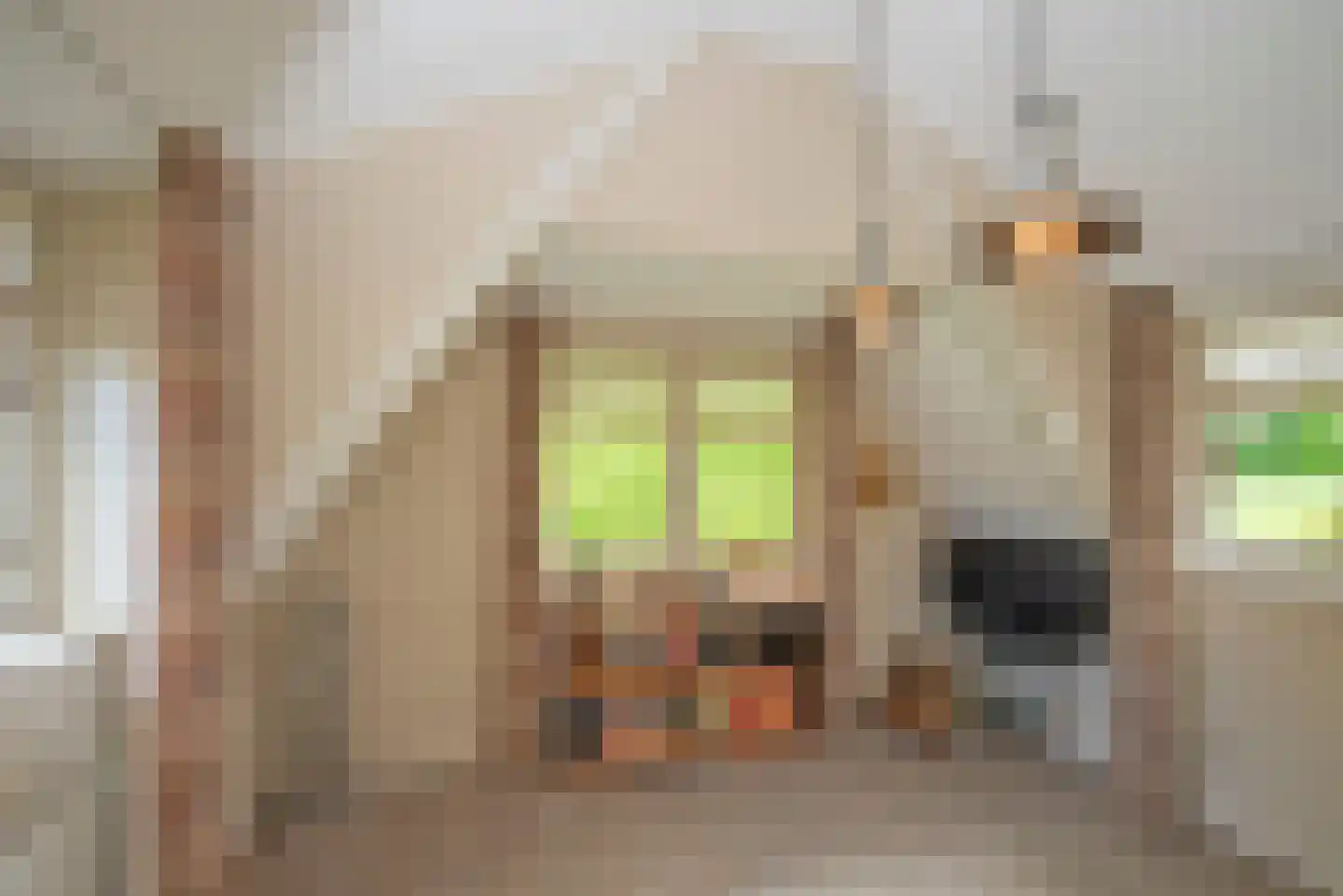 Willy Albertistraat 8 Hengelo thumbnail 33