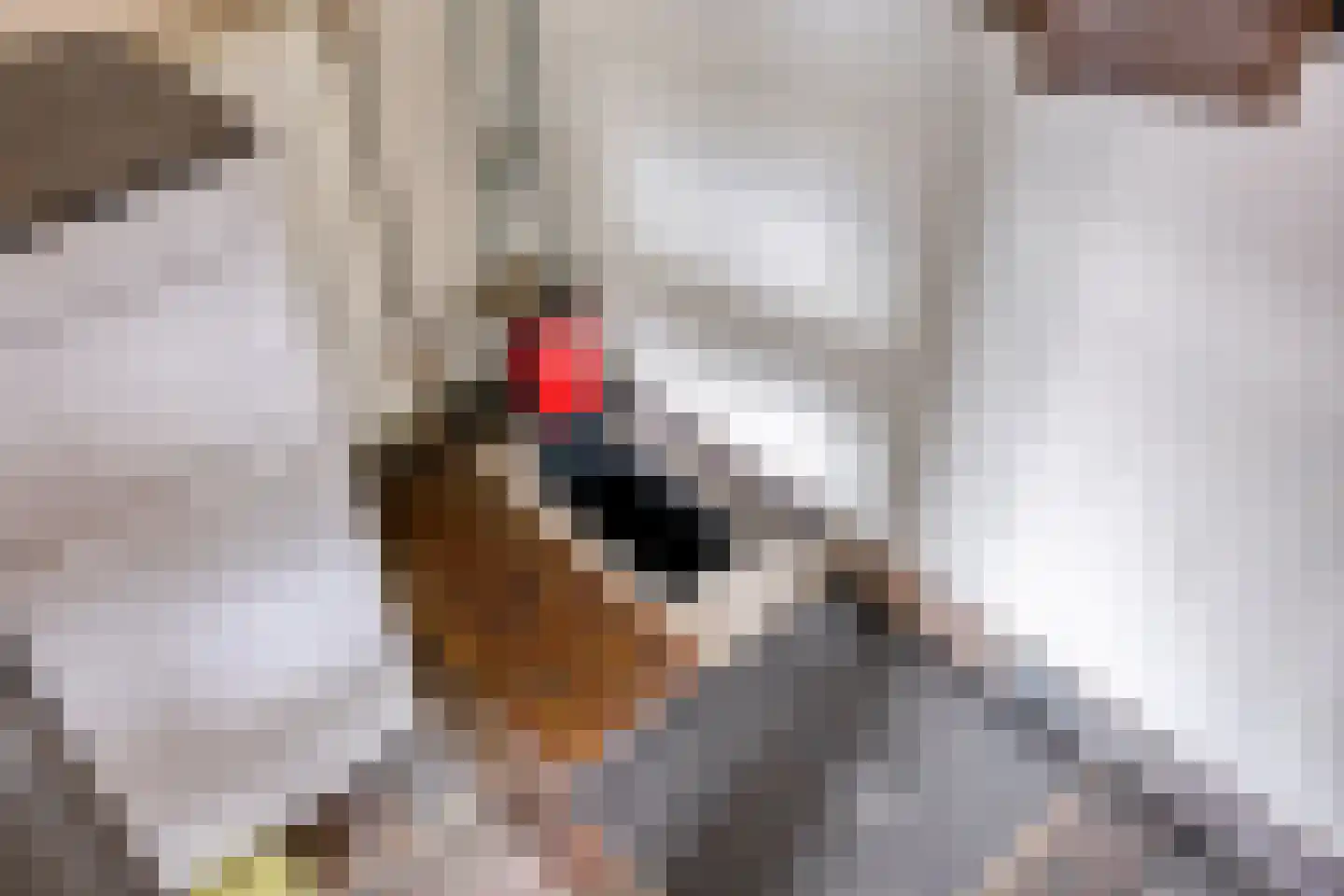 Willy Andriessenstraat 23 Oss thumbnail 13