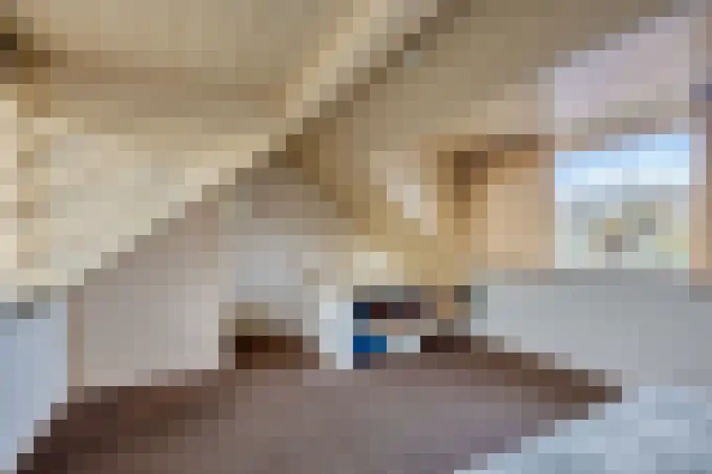 Willy Andriessenstraat 23 Oss thumbnail 19