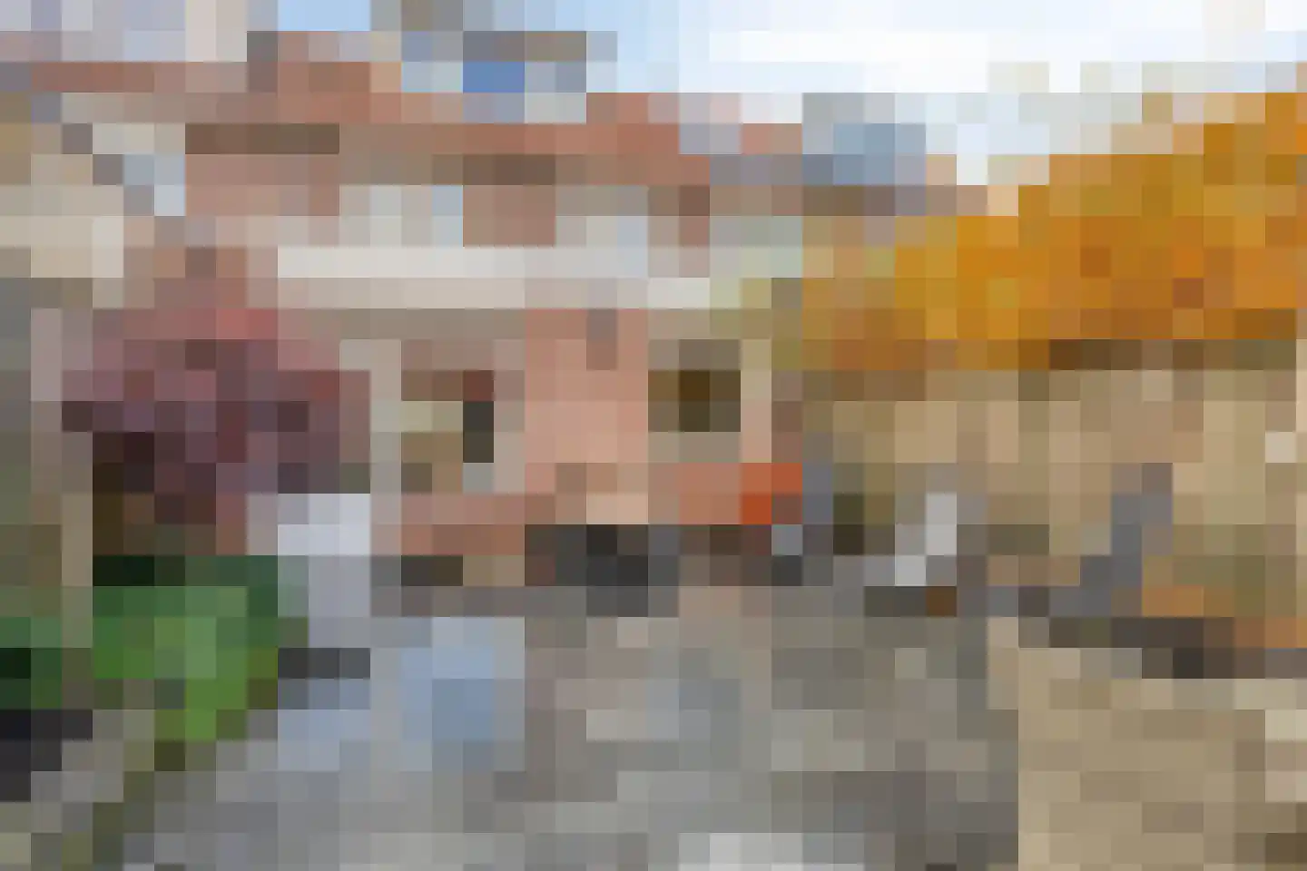 Willy Andriessenstraat 23 Oss thumbnail 22