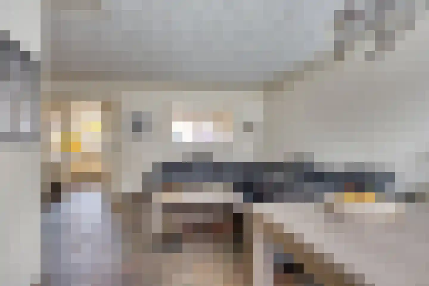 Willy Andriessenstraat 23 Oss thumbnail 7