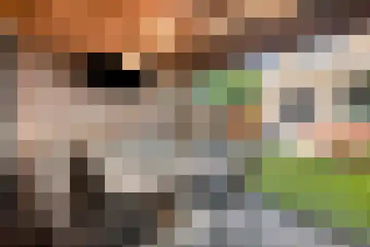Willy Andriessenstraat 3 Oss thumbnail 20
