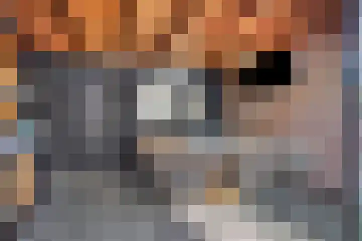 Willy Andriessenstraat 3 Oss thumbnail 21