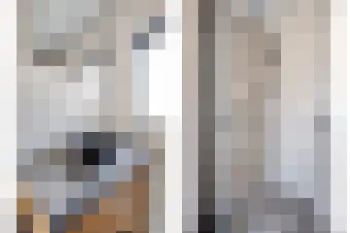 Willy Andriessenstraat 3 Oss thumbnail 26