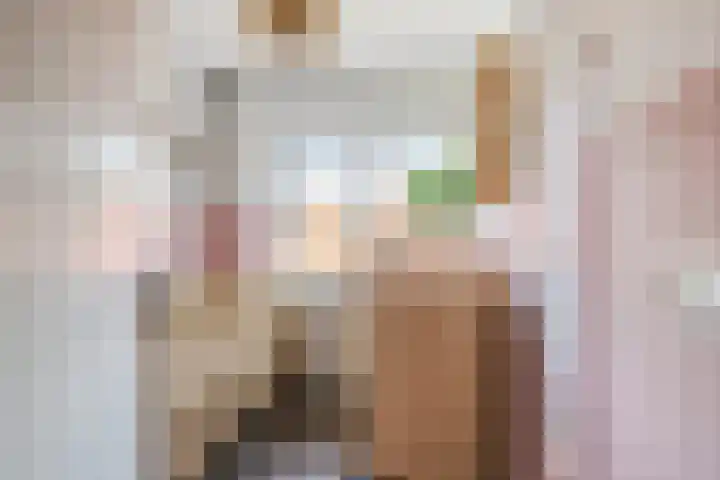 Willy Andriessenstraat 3 Oss thumbnail 27