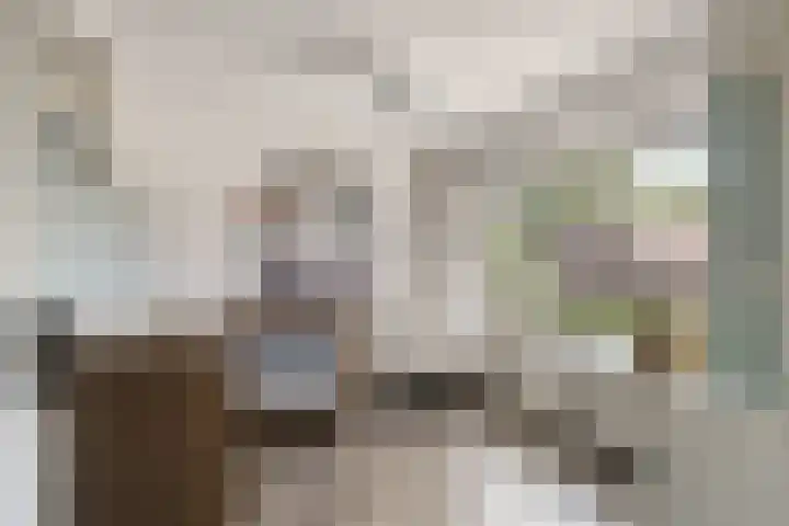 Willy Andriessenstraat 3 Oss thumbnail 29