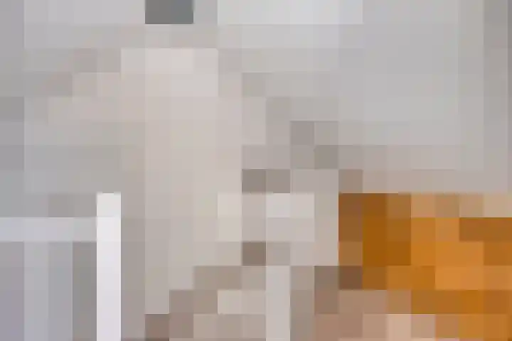 Willy Andriessenstraat 3 Oss thumbnail 31