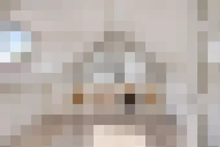 Willy Andriessenstraat 3 Oss thumbnail 32