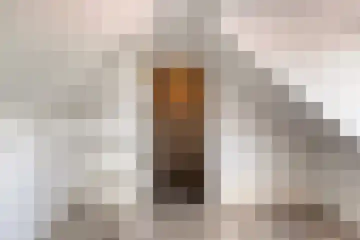 Willy Andriessenstraat 3 Oss thumbnail 34