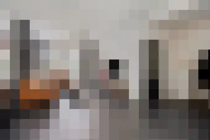 Willy Andriessenstraat 3 Oss thumbnail 6