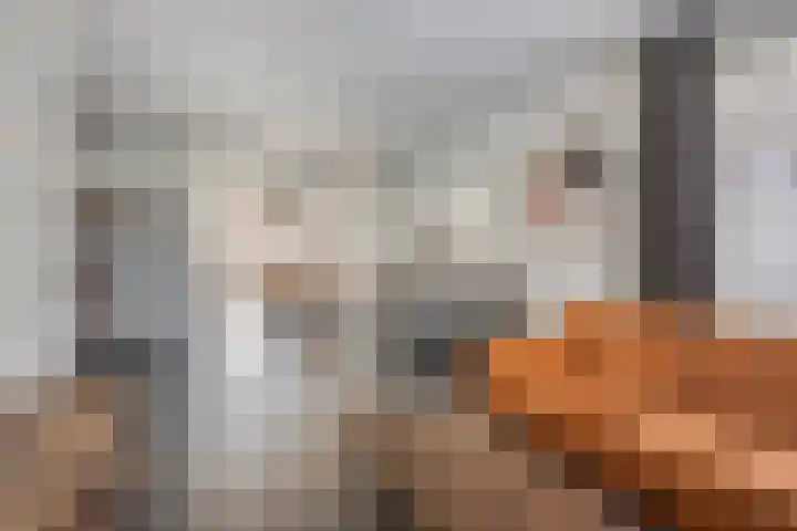 Willy Andriessenstraat 3 Oss thumbnail 8