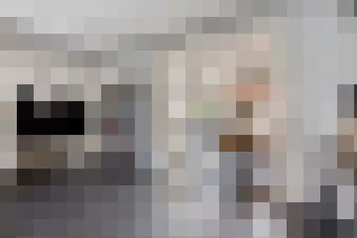Willy Andriessenstraat 3 Oss thumbnail 9