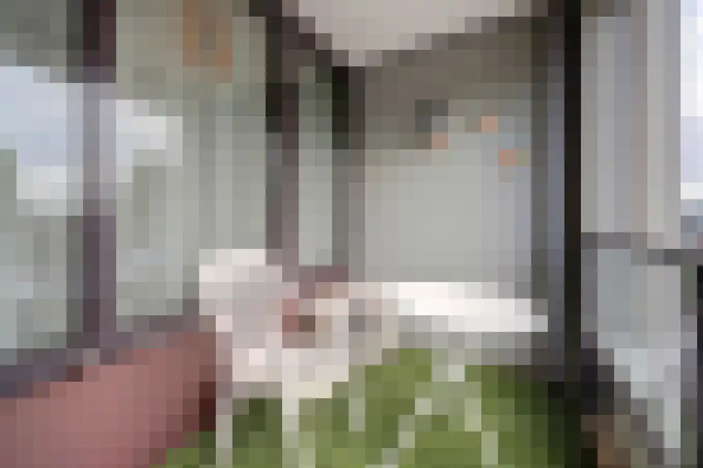 Willy Brandtplein 234 Doetinchem thumbnail 31