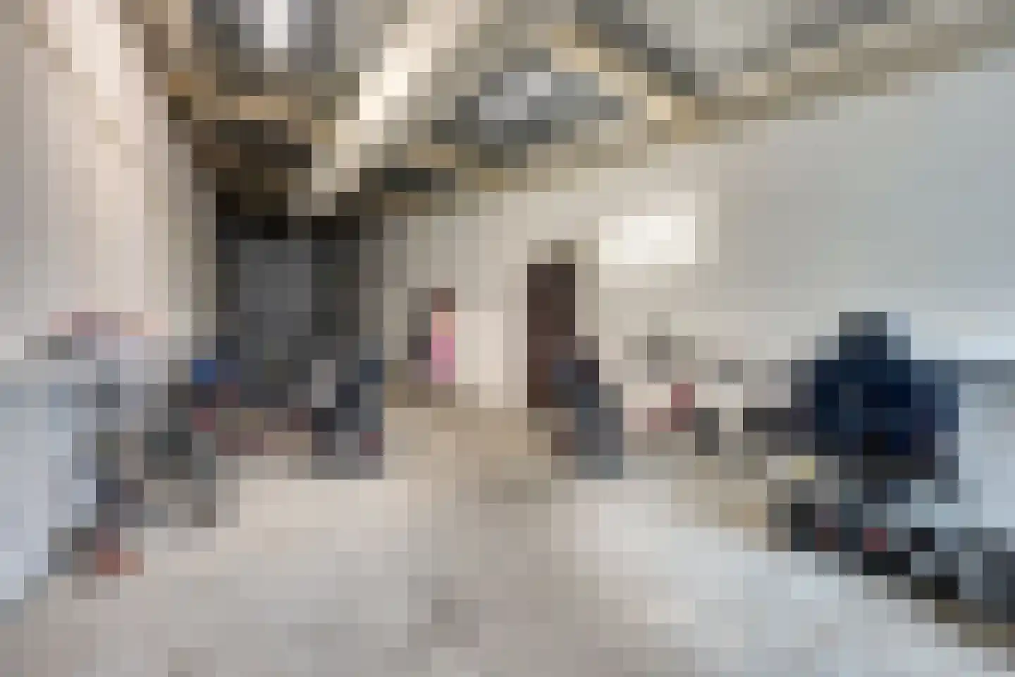 Willy Brandtplein 234 Doetinchem thumbnail 32
