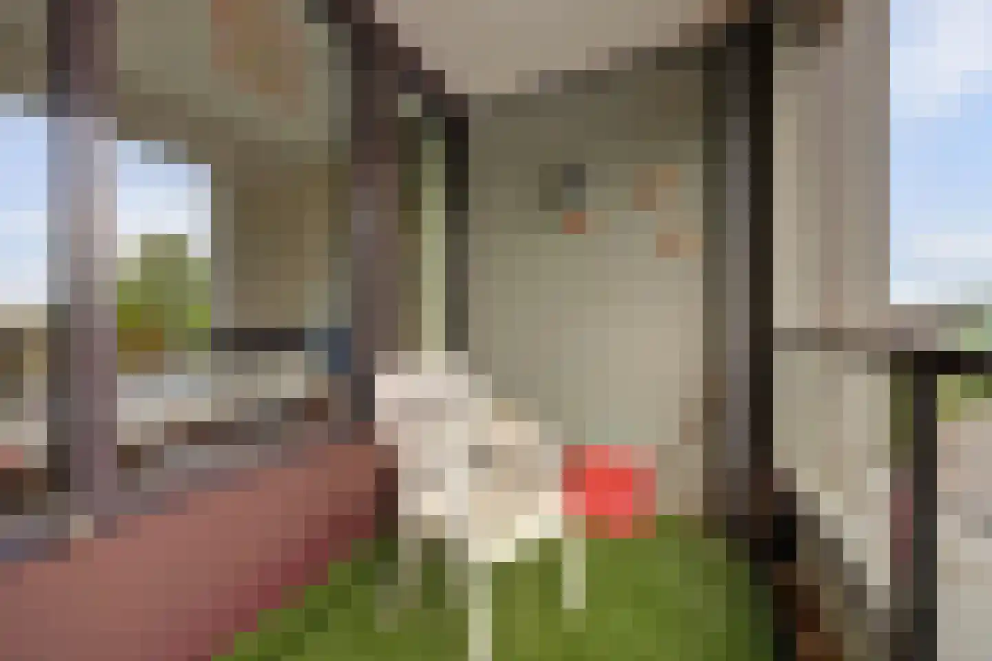 Willy Brandtplein 234 Doetinchem thumbnail 34