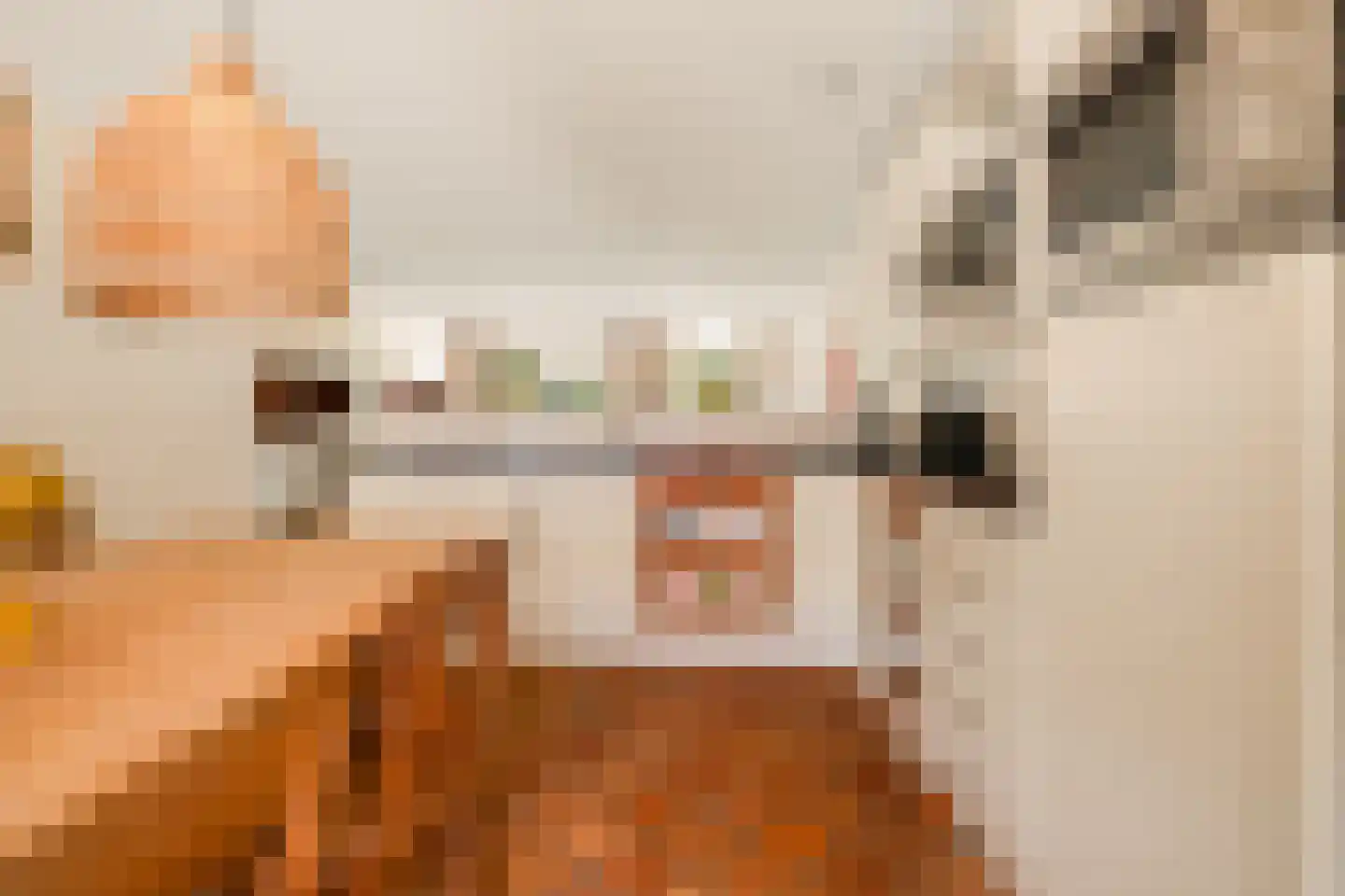 Willy den Oudenstraat 17 Rotterdam thumbnail 13