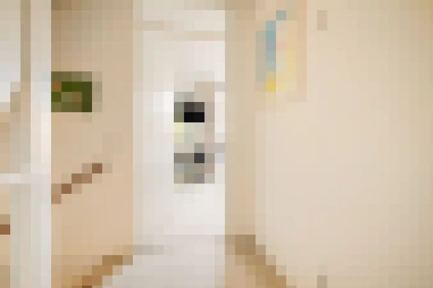 Willy den Oudenstraat 17 Rotterdam thumbnail 20