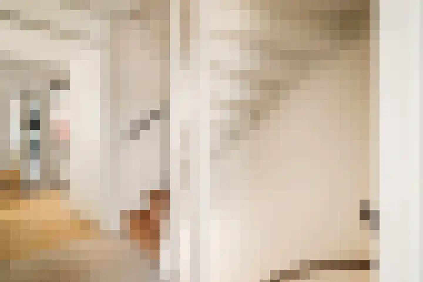Willy den Oudenstraat 17 Rotterdam thumbnail 24