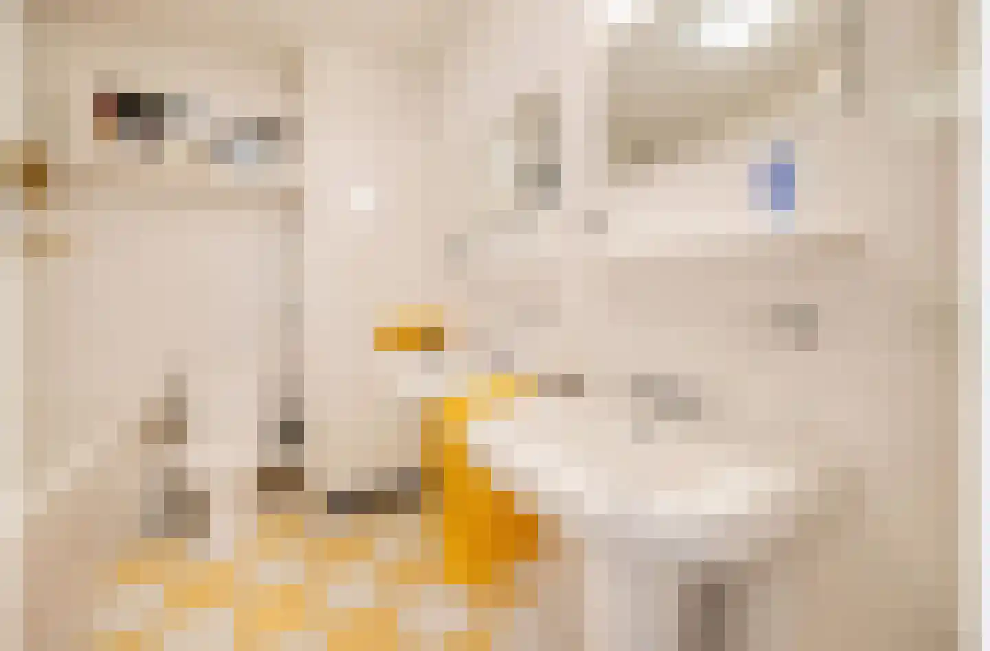 Willy den Oudenstraat 17 Rotterdam thumbnail 27