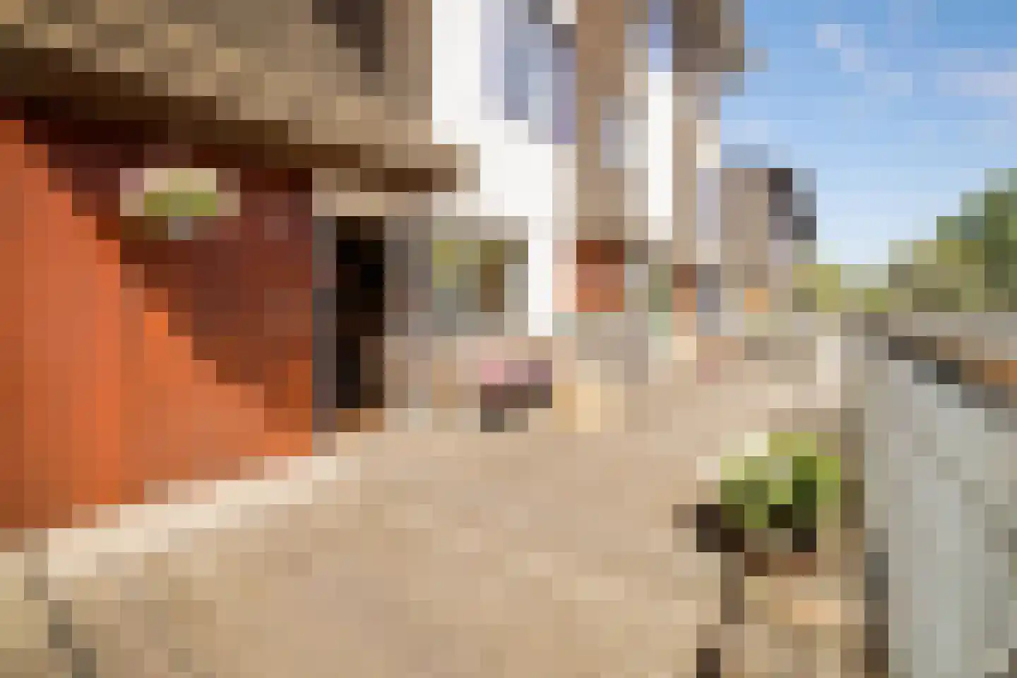 Willy den Oudenstraat 17 Rotterdam thumbnail 39