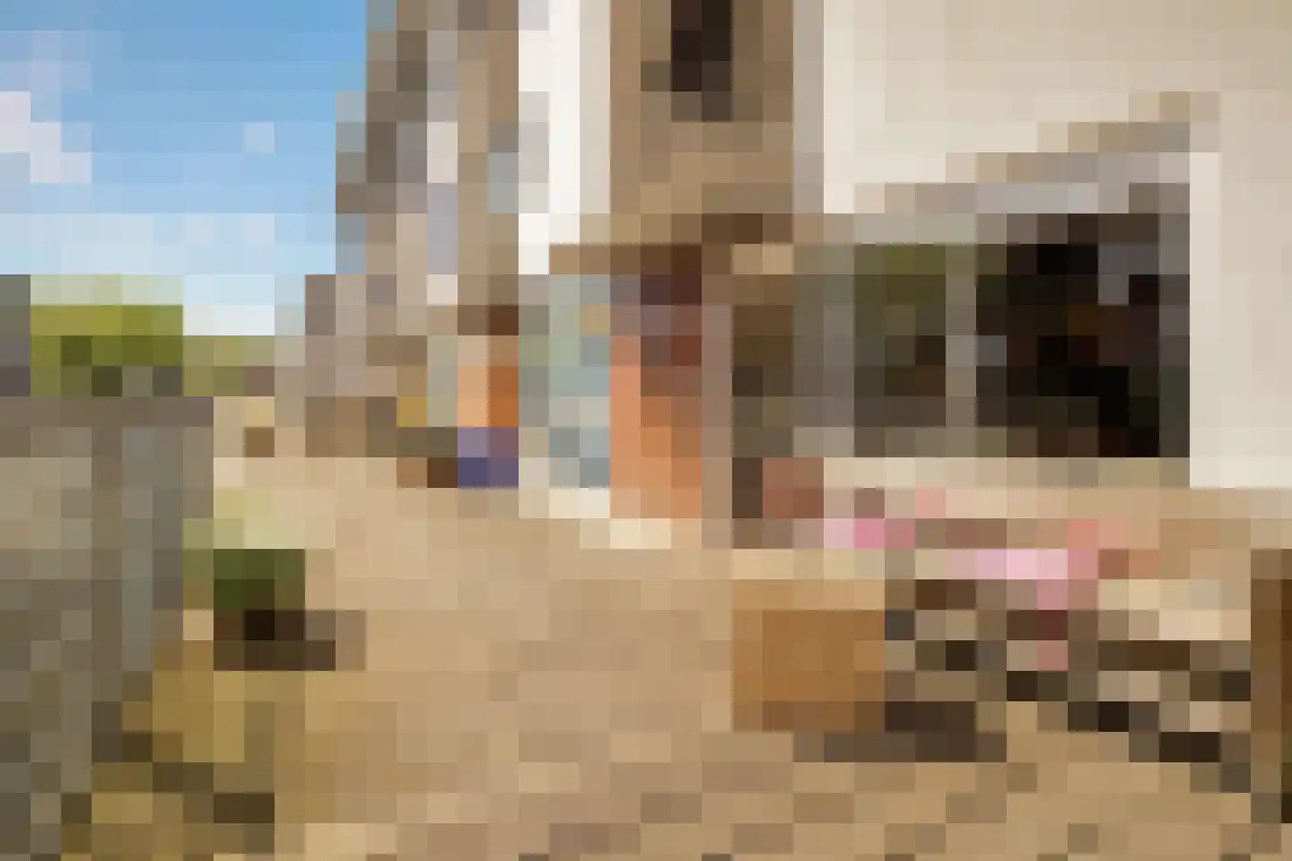 Willy den Oudenstraat 17 Rotterdam thumbnail 7